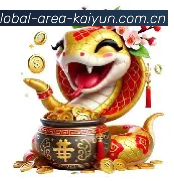 未来规划